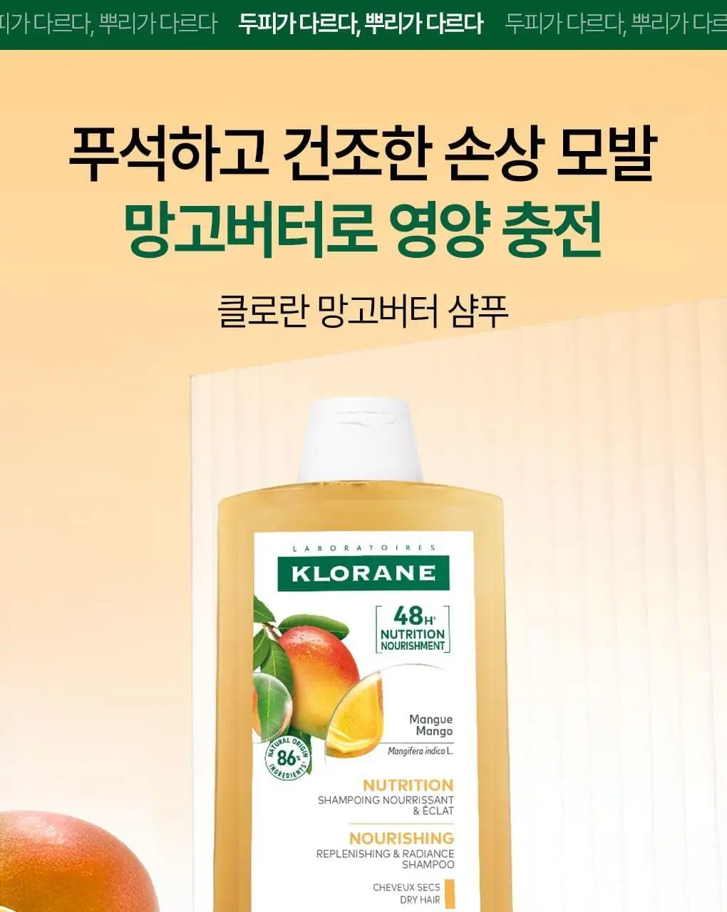 [손상 & 건조모발] 클로란 망고버터 데미지 리페어 샴푸 400ml 상세페이지 3